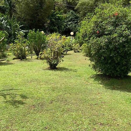 972B-Coin De Verdure Au Pied De La Montagne Pelee Le Morne-Rouge Екстериор снимка