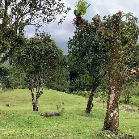 972B-Coin De Verdure Au Pied De La Montagne Pelee Le Morne-Rouge Екстериор снимка