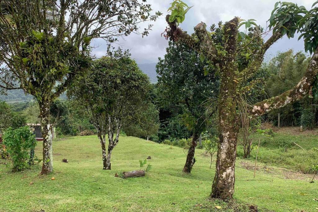 972B-Coin De Verdure Au Pied De La Montagne Pelee Le Morne-Rouge Екстериор снимка